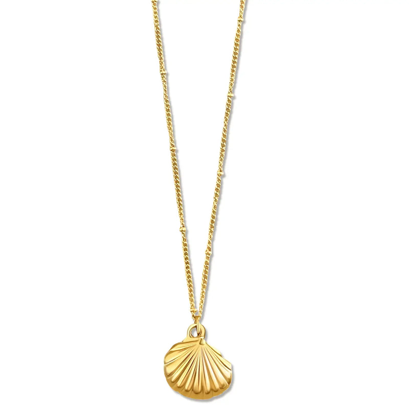 Georgina Shell Pendant