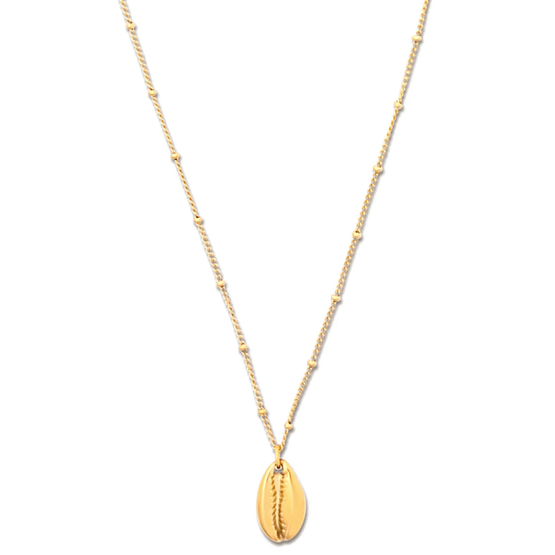 Jaide Shell Pendant Necklace