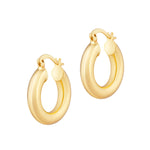 Mini Hendrix Hoops