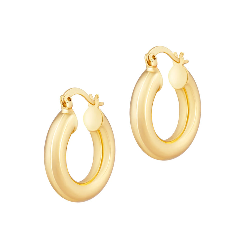 Mini Hendrix Hoops