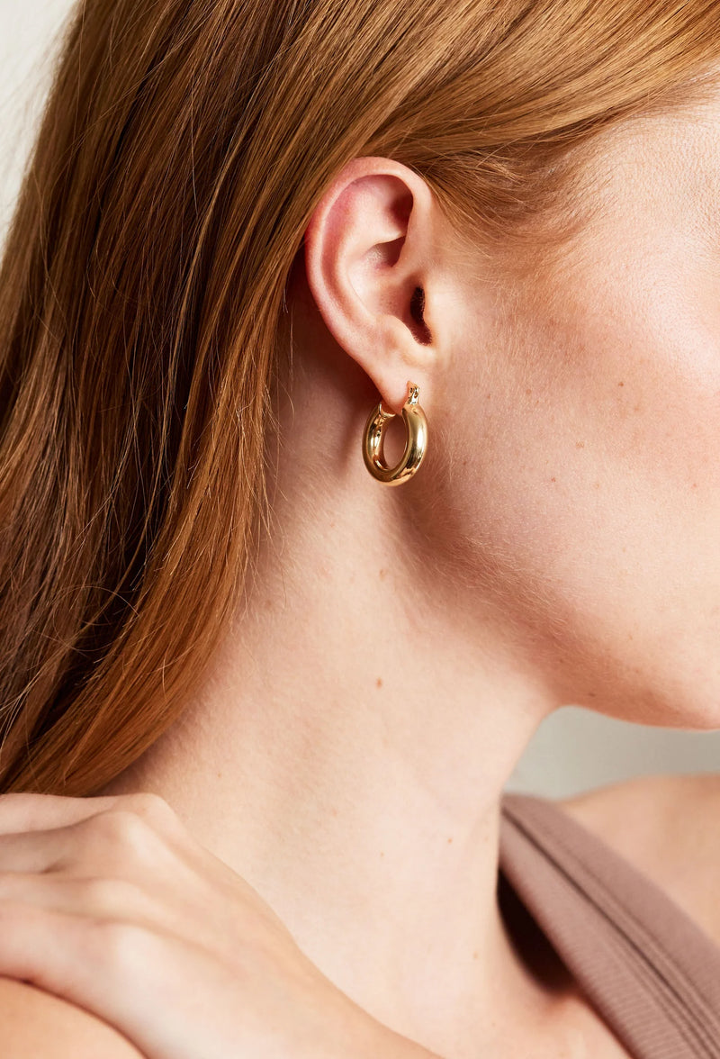 Mini Hendrix Hoops